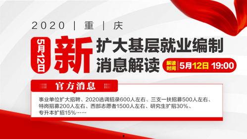 重庆公务员最新爆料,揭秘政策调整与岗位变动