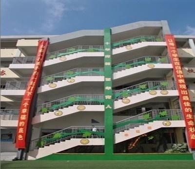 汊河小学最新爆料信息,揭秘校园生活新篇章