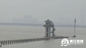杭州潮水爆料最新消息,最新潮水动态及热点事件速览